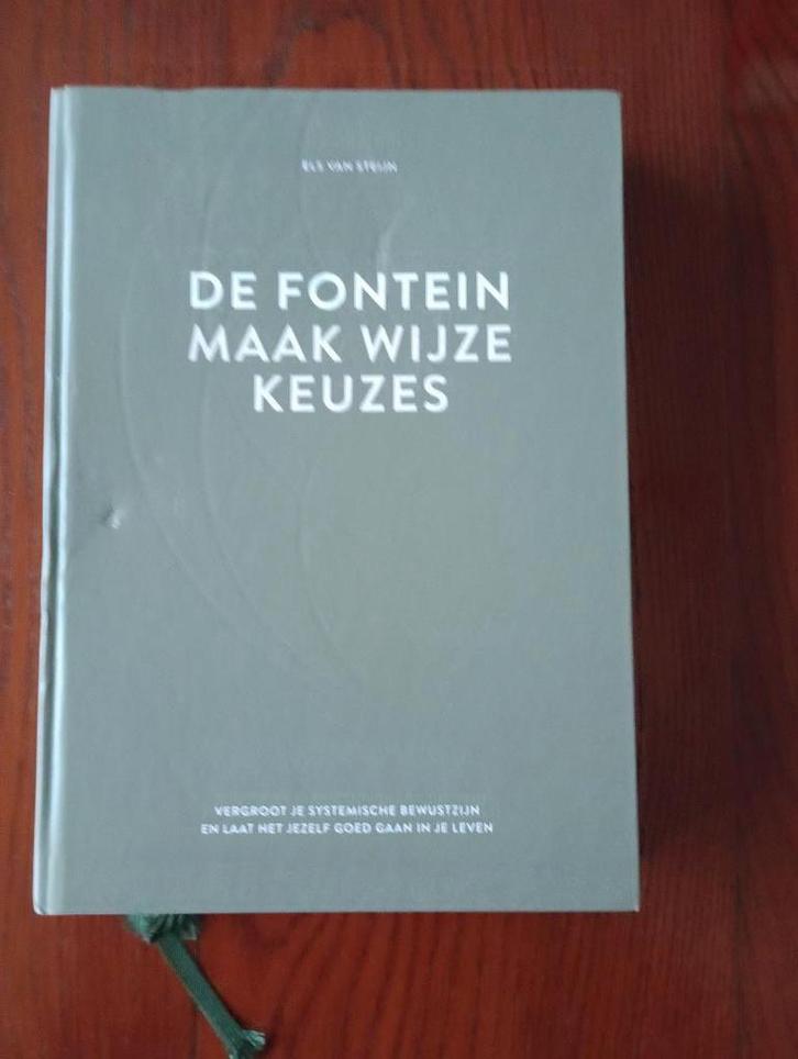 De fontein, maak wijze keuzes Els van Steijn 2-23, Boeken, Advies, Hulp en Training, Zo goed als nieuw, Ophalen of Verzenden