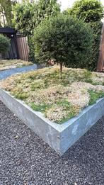 Sedum matten mooie bodembedekking in uw tuin, Ophalen of Verzenden, Zomer, Volle zon