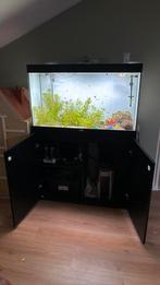 Aqualantis splendid 202, Dieren en Toebehoren, Vissen | Aquaria en Toebehoren, Ophalen, Zo goed als nieuw, Leeg aquarium