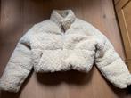 Teddy Jas maat xs, Ophalen of Verzenden, Zo goed als nieuw, Maat 34 (XS) of kleiner, Zara