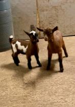 2 Dwerggeit boklammetjes, Dieren en Toebehoren, Mannelijk, Geit, 0 tot 2 jaar