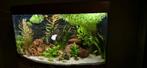 Aquarium - Jewel vision 180, Dieren en Toebehoren, Ophalen, Gebruikt, Filter of Co2