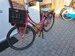 Batavus damesfiets framehoogte 53 cm, Ophalen, 53 tot 56 cm, Versnellingen, Batavus