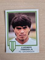 Panini Voetbal 81 Ludwig Timisela FC Groningen, Ophalen of Verzenden, Zo goed als nieuw, Overige binnenlandse clubs, Poster, Plaatje of Sticker