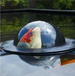 Fish dome koi dome glazen bol boven watet, Ophalen
