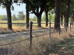 Houten palen met stroomlint voor paardenwei, Dieren en Toebehoren, Stalling en Weidegang, Weidegang