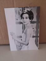 AUDREY HEPBURN ACTRESS 1929-1993, Ophalen of Verzenden, Zo goed als nieuw, Foto of Kaart, Gesigneerd