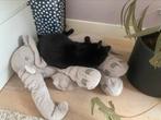 Herplaatsing broer en zus , kater en poes, Ophalen