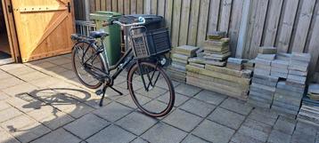 gazelle te koop beschikbaar voor biedingen