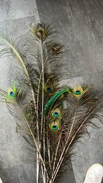 Pauwenveren, Huis en Inrichting, Woonaccessoires | Droogbloemen, Ophalen, Nieuw
