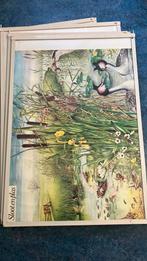 Diverse oude schoolplaten 9 stuks, Antiek en Kunst, Antiek | Schoolplaten, Ophalen, Geschiedenis