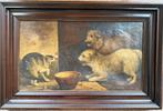 schilderij kat met honden, Ophalen, Minder dan 50 cm, Schilderij, Minder dan 50 cm