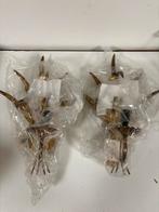 Set van 2 New Old Stock – Lotti group ‘Korenaar’ Wandlamp, Ophalen of Verzenden, Zo goed als nieuw, Metaal