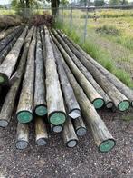 Cloeziana palen te koop B-keus, Ophalen, Zo goed als nieuw, 250 cm of meer, Palen