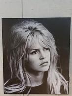 Brigitte Bardot Foto - 96 x 110 cm, Ophalen