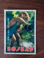 Ansichtkaart nostalgie Bosbad, Berg & Bos te Apeldoorn, Verzenden, 1940 tot 1960, Ongelopen, Gelderland