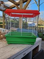Vogelkooitje, Mannelijk