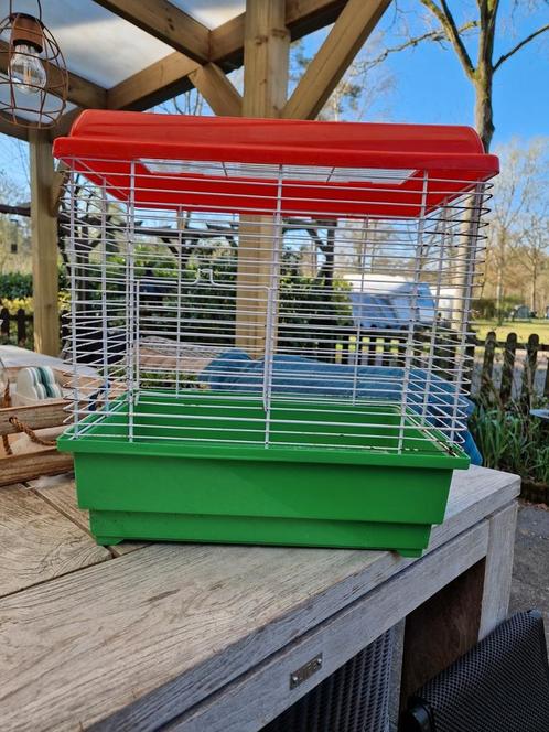 Vogelkooitje, Dieren en Toebehoren, Vogels | Kanaries, Mannelijk