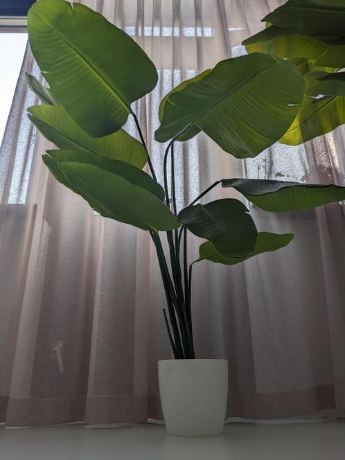 Kunstplant Strelitzia Nicolai Deluxe 1,2 meter hoog, Huis en Inrichting, Woonaccessoires | Kunstplanten en Kunstbloemen, Zo goed als nieuw