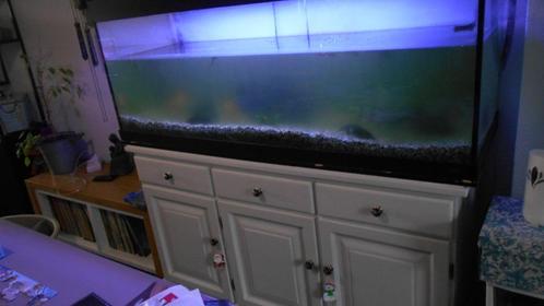 groot aquarium met onderkast 1 centimeter glas reptielen vis, Dieren en Toebehoren, Vissen | Aquaria en Toebehoren, Gebruikt, Leeg aquarium