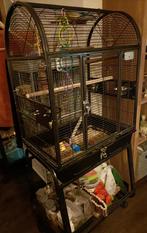 Strong villa Nora m (verrijdbare vogelkooi), Dieren en Toebehoren, Ophalen, Zo goed als nieuw, Metaal, Vogelkooi