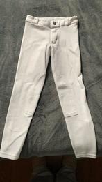 Wedstrijd broek, Dieren en Toebehoren, Paardrijkleding, Ophalen of Verzenden, Zo goed als nieuw, Dressuur, Onderkleding