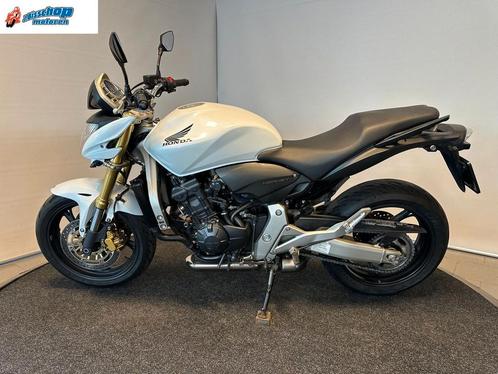 HONDA CB 600 F HORNET (bj 2008), Motoren, Motoren | Honda, Bedrijf, Naked bike, meer dan 35 kW, 4 cilinders