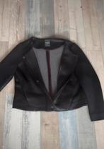 Mooi jas Didi maat L, Kleding | Dames, Jassen | Winter, Ophalen of Verzenden, Zo goed als nieuw, Maat 42/44 (L), Zwart