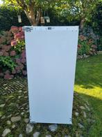 AEG inbouw koelkast - Santo K91200-5i - 122x56x55 cm, Ophalen, 120 tot 140 cm, 200 liter of meer, 45 tot 60 cm