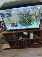 Aquarium + vissen te koop, Dieren en Toebehoren, Ophalen, Zo goed als nieuw, Gevuld zoetwateraquarium
