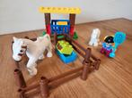 Duplo 10806 - Paarden, Ophalen of Verzenden, Gebruikt, Duplo