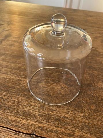 Brocante glazen stolp beschikbaar voor biedingen