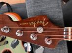 Fender Kingman Akoestische Basgitaar, Muziek en Instrumenten, Snaarinstrumenten | Gitaren | Akoestisch, Ophalen, Zo goed als nieuw