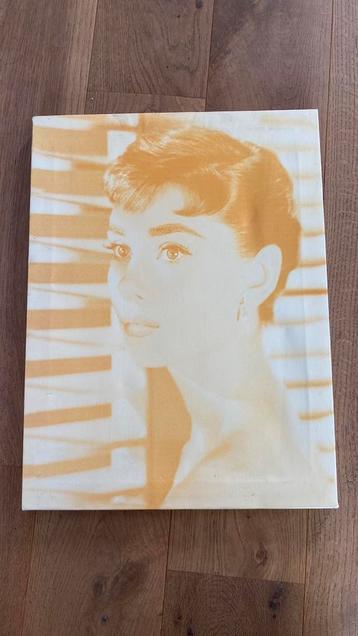 Audrey Hepburn,  afbeelding op linnen, 35 x 45 cm beschikbaar voor biedingen