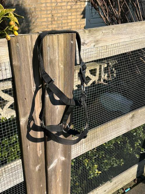 Halster pony, Dieren en Toebehoren, Paarden en Pony's | Hoofdstellen en Tuigage, Nieuw, Overige soorten, Ophalen of Verzenden