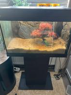 Juwel primo 60, Dieren en Toebehoren, Ophalen of Verzenden, Zo goed als nieuw, Leeg aquarium