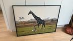 Foto van Giraffe op canvas in lijst, Huis en Inrichting, Ophalen, Zo goed als nieuw, 75 cm of meer
