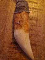 Etnische ketting met tand, Ophalen of Verzenden