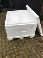 Koelbox tempex, 50 tot 100 cm, 50 tot 75 cm, Ophalen of Verzenden, Zo goed als nieuw