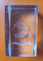 Kristal glas Laserblok 3D Dolfijnen, Ophalen, Zo goed als nieuw, Dier