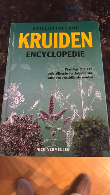 Geïllustreerde Kruiden Encyclopedie - Nico Vermeulen beschikbaar voor biedingen