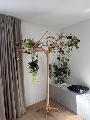 Unieke Papegaaienboom / Plantenstandaard - 2m hoog beschikbaar voor biedingen