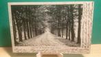 Oranje Nassau. Laan naar het Sanatorium.  815, Ophalen of Verzenden, Voor 1920