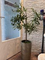 Kunst olijfboom met mooie pot, Huis en Inrichting, Ophalen of Verzenden, Zo goed als nieuw