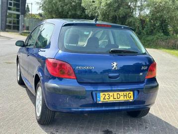 Peugeot 307 1.4 XS beschikbaar voor biedingen