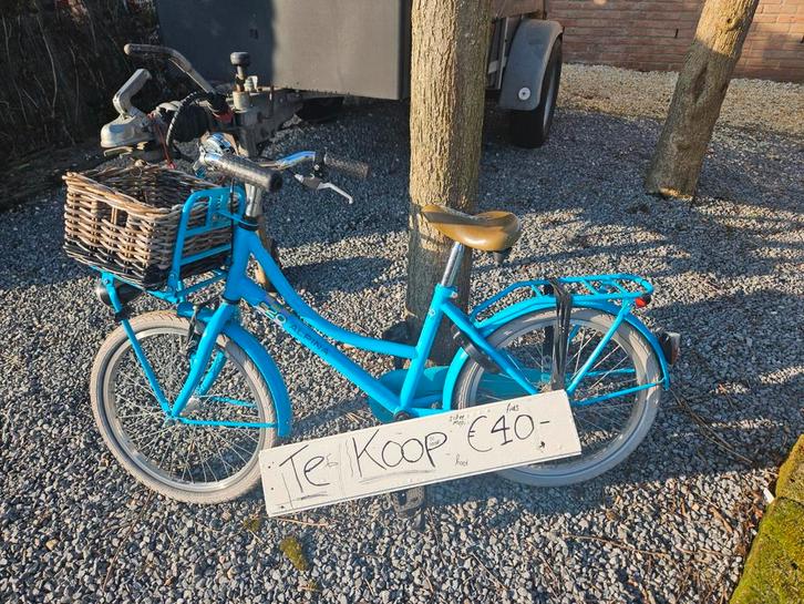 Alpina 20 inch kinderfiets - blauw - 6-8 jaar, Fietsen en Brommers, Fietsen | Jongens, Gebruikt, 20 inch, Handrem, Ophalen of Verzenden