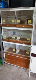 Te koop, Dieren en Toebehoren, Vogels | Hokken en Kooien, Ophalen of Verzenden, Zo goed als nieuw, Hout, Vogelkooi