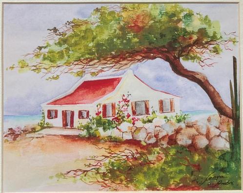 Aruba, Catiri #6, Aquarel van Sonya Lemminga, ingelijst, Antiek en Kunst, Kunst | Tekeningen en Foto's, Ophalen of Verzenden
