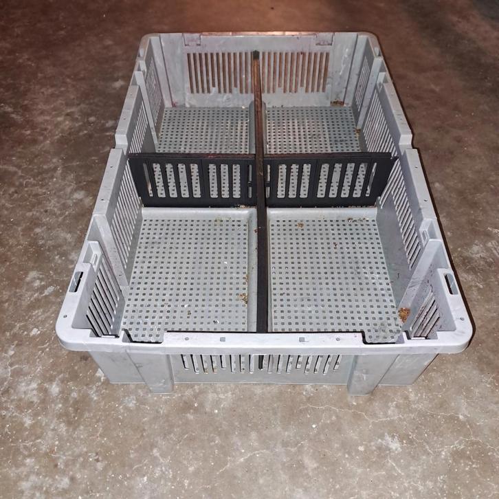 Stapelbare Krat met Vakken - Kunststof, Doe-het-zelf en Verbouw, Kratten en Dozen, Ophalen of Verzenden
