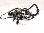 GSX750F 1988 - 1997 Suzuki Kabelboom D1-53629, Motoren